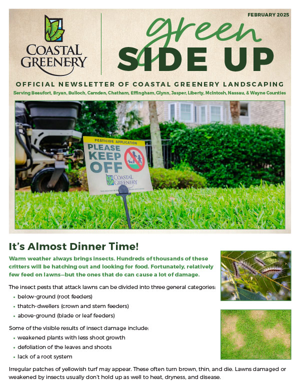 Feb2025-Newsletter