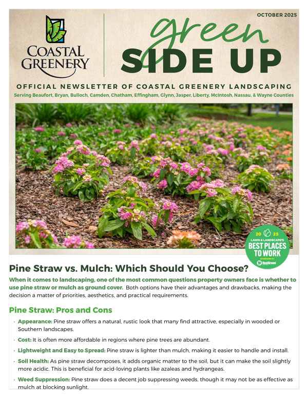 October2025-Newsletter