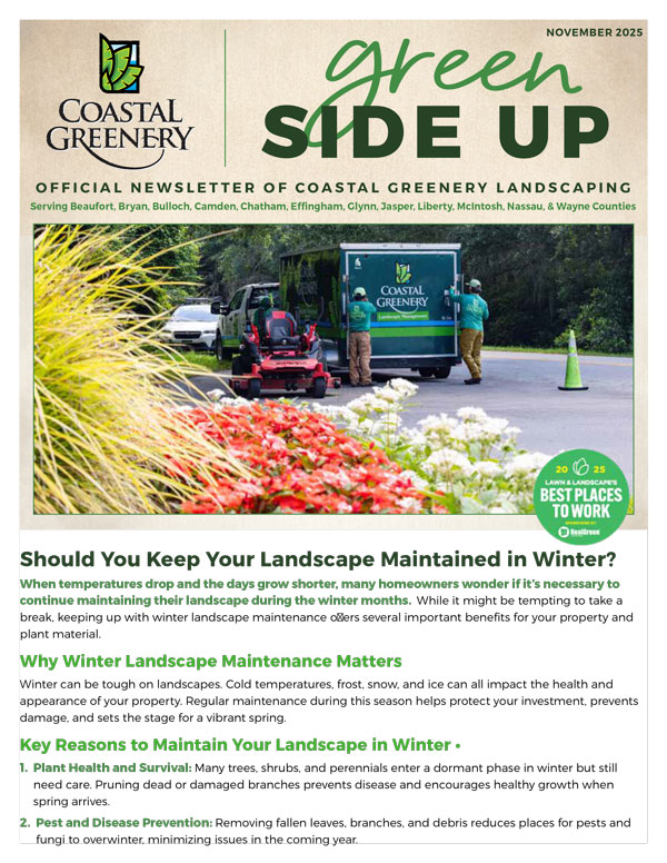 November2025-Newsletter