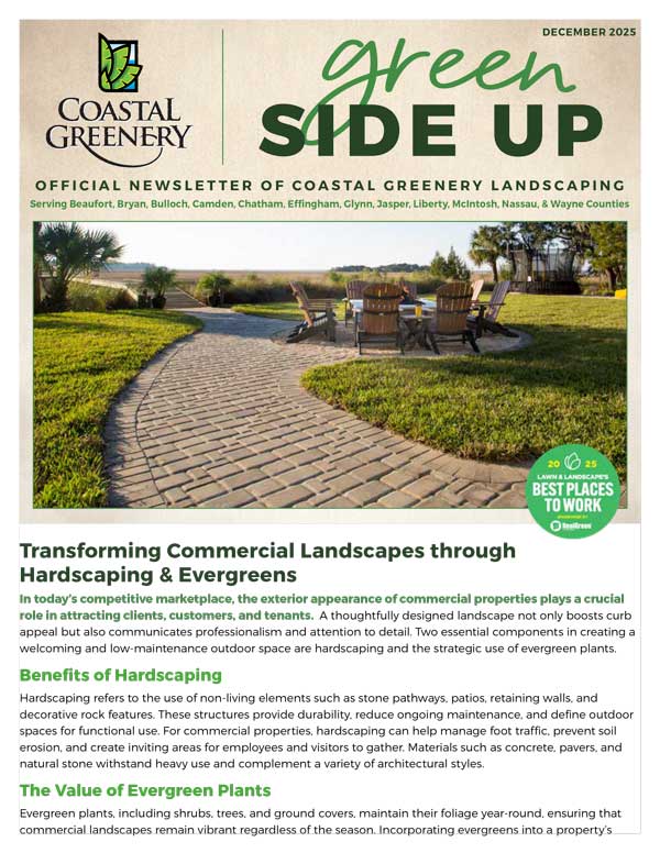 December2025-Newsletter