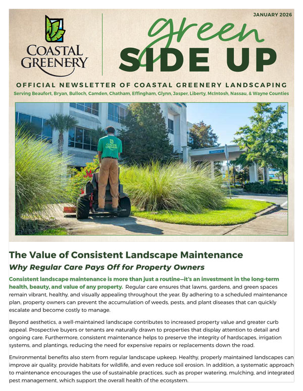 January2026-Newsletter