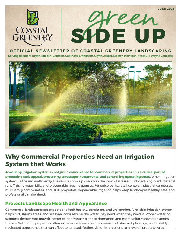 June2026-Newsletter