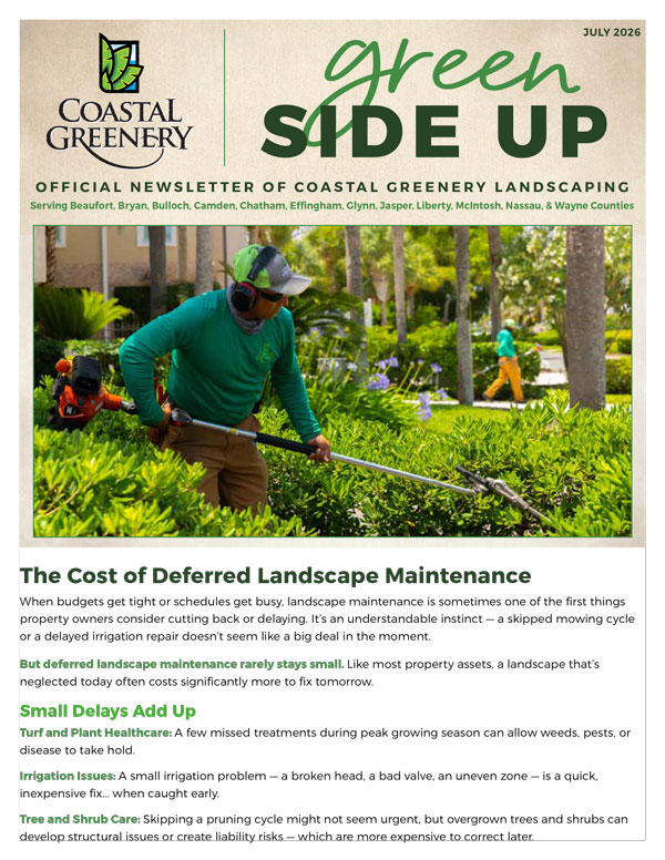 July2026-Newsletter