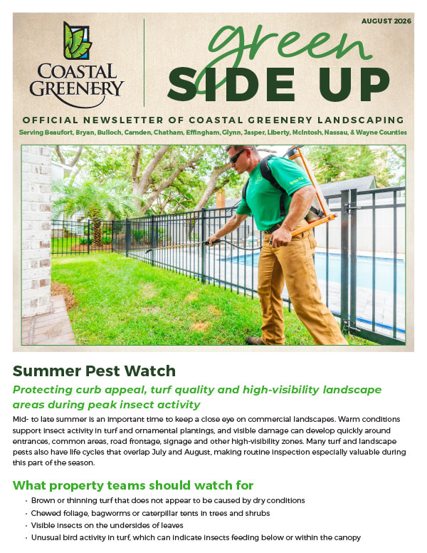 August 2026 Newsletter