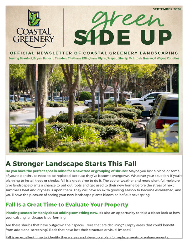 September 2026 Newsletter